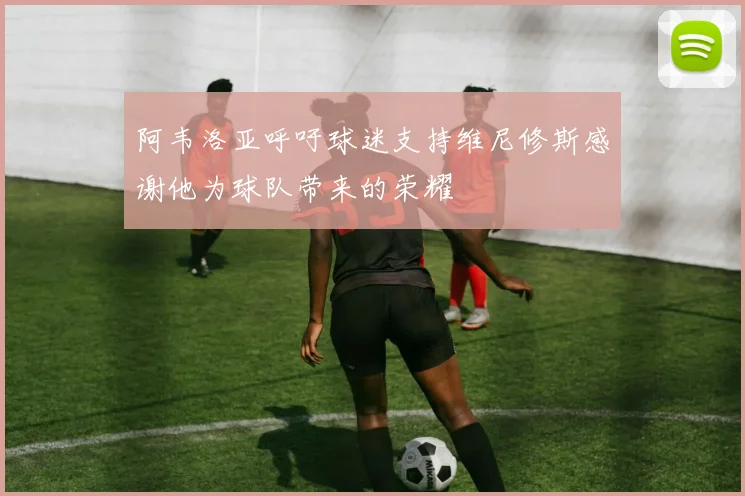 阿韦洛亚呼吁球迷支持维尼修斯感谢他为球队带来的荣耀