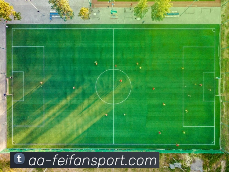 App Interface Preview